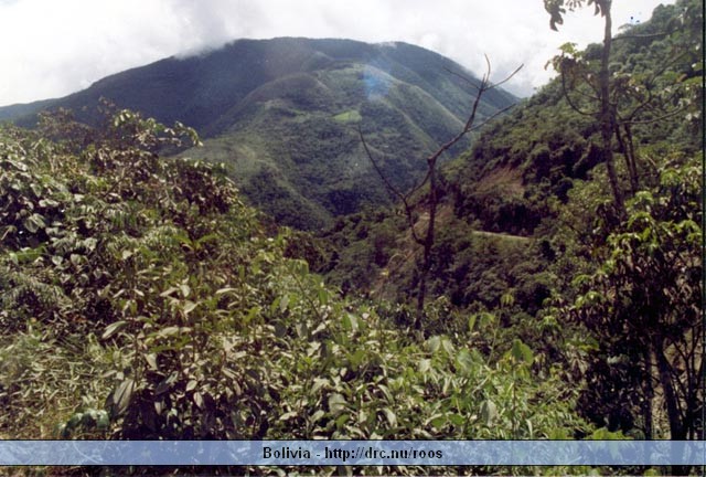 bolivia01.jpg