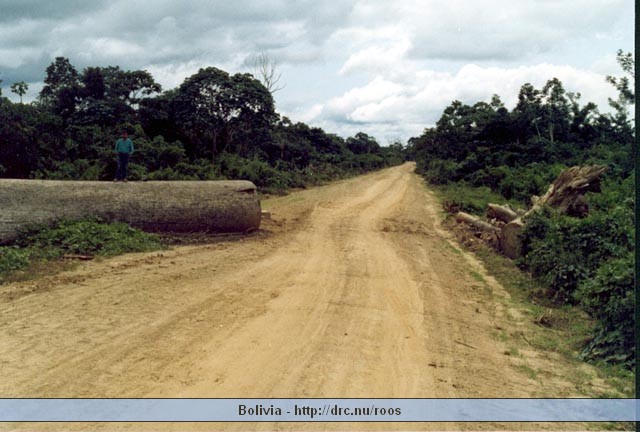 bolivia02.jpg