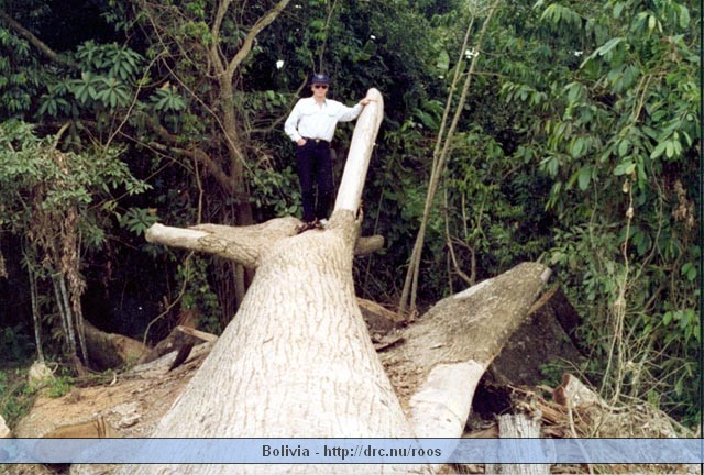 bolivia03.jpg