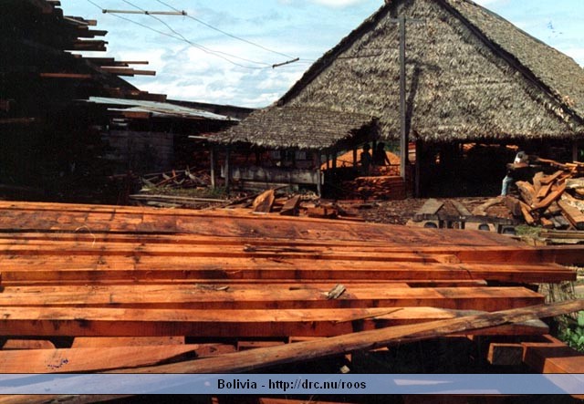 bolivia24.jpg