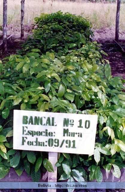 bolivia27.jpg