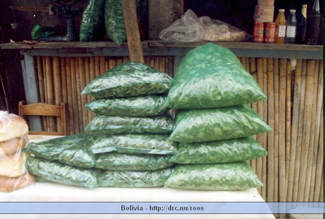 bolivia34.jpg