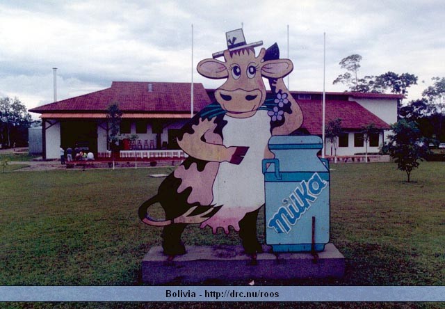 bolivia43.jpg