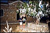 cypern08.jpg