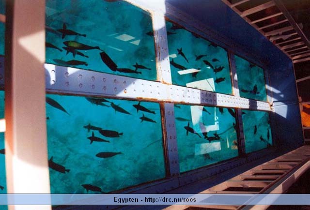 egypten05.jpg
