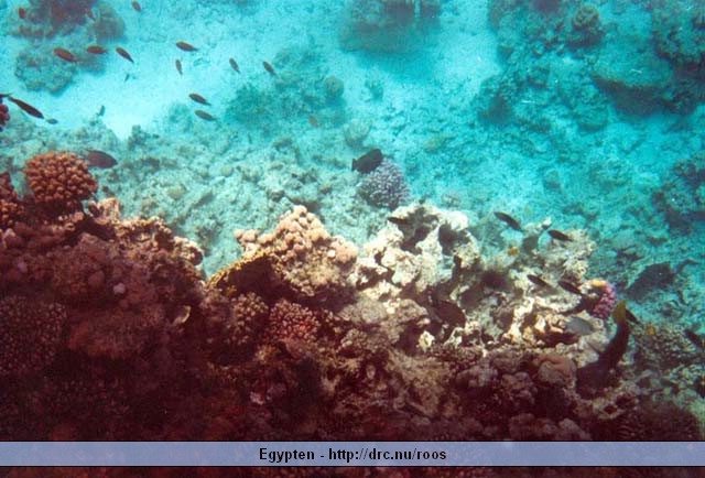 egypten09.jpg