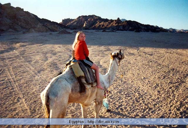 egypten14.jpg