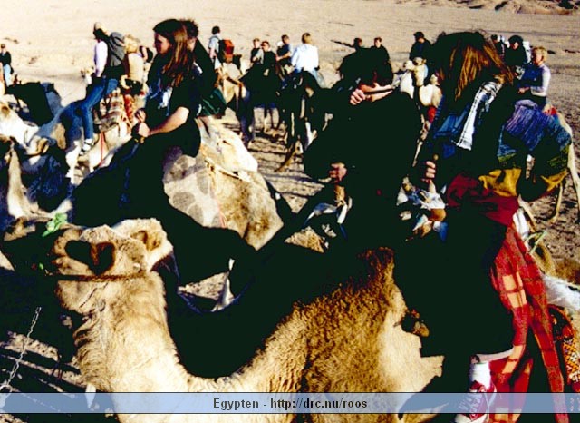 egypten15.jpg