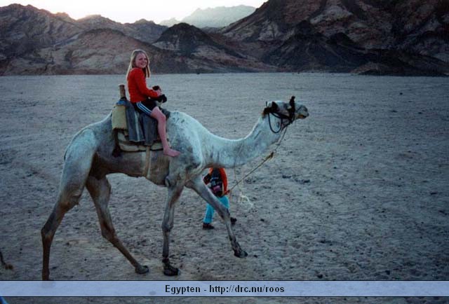 egypten16.jpg