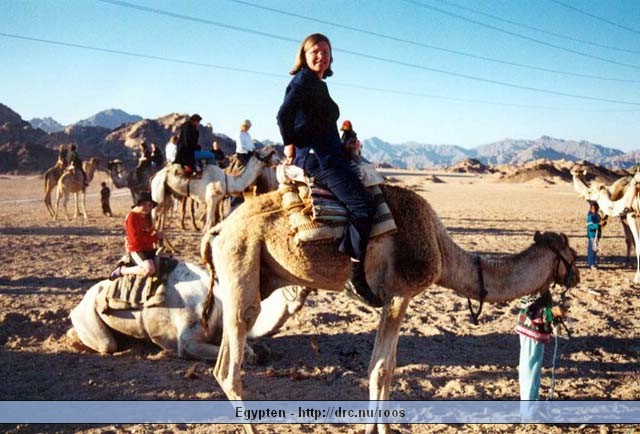 egypten18.jpg