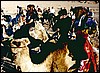 egypten15.jpg