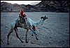egypten16.jpg