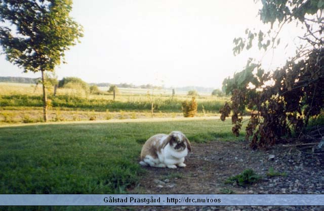 galstad16.jpg
