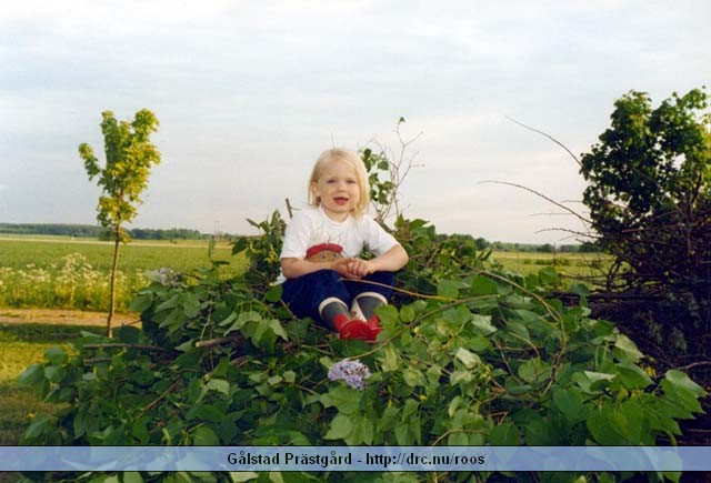 galstad18.jpg