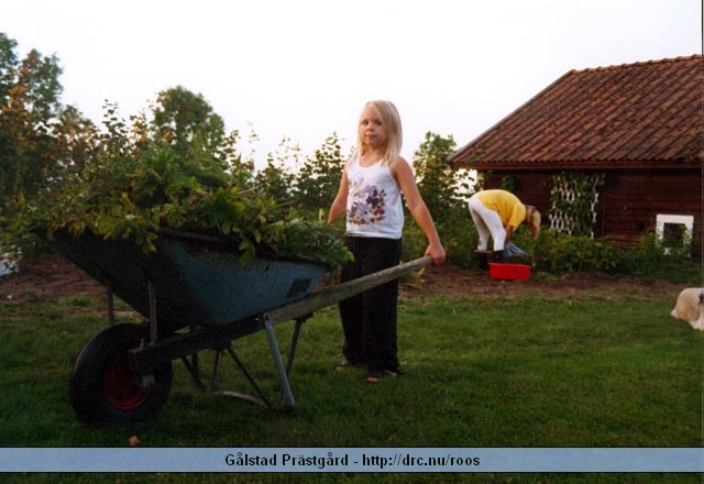 galstad19.jpg