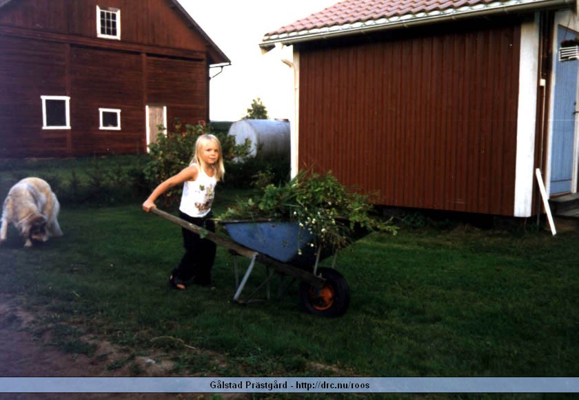galstad20.jpg