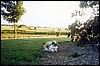 galstad16.jpg
