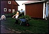 galstad20.jpg