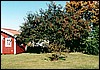 galstad31.jpg