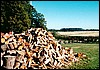 galstad33.jpg