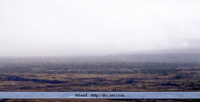 island05.jpg