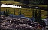 island04.jpg