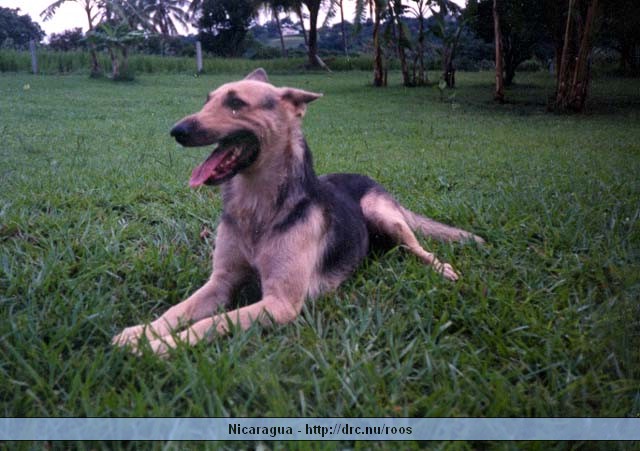 nicaragua032.jpg