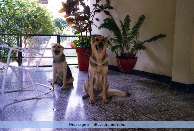 nicaragua034.jpg