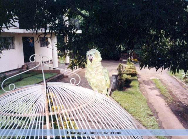 nicaragua035.jpg