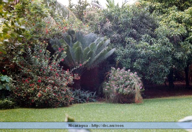 nicaragua060.jpg