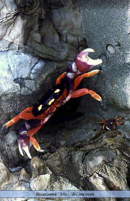 nicaragua092.jpg