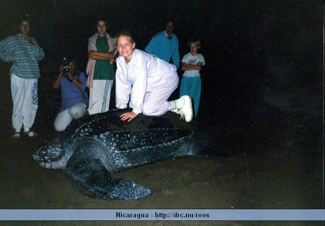 nicaragua111.jpg