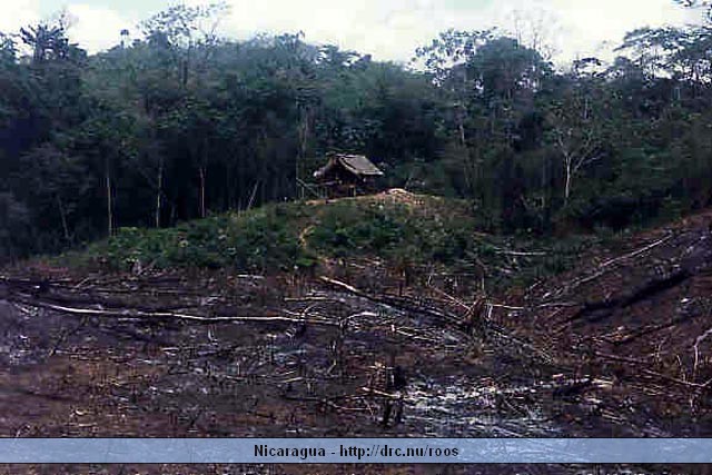 nicaragua158.jpg