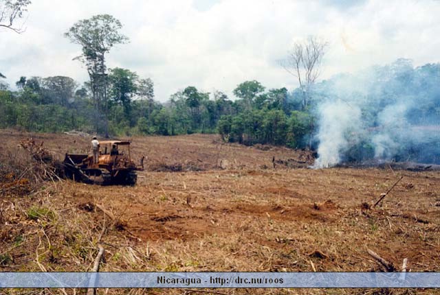 nicaragua162.jpg