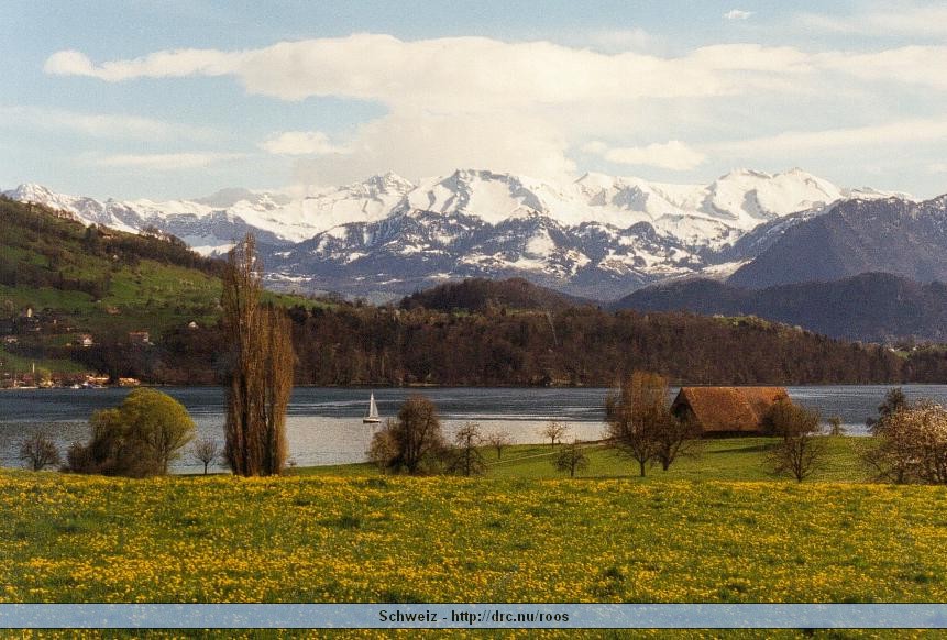 schweiz35.jpg