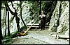 schweiz15.jpg
