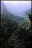 schweiz40.jpg